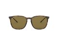 Ray-Ban Sunčane Naočale RB 4387 710/73