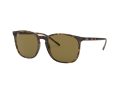 Ray-Ban Sunčane Naočale RB 4387 710/73