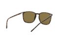 Ray-Ban Sunčane Naočale RB 4387 710/73