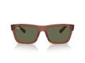 Ray-Ban Warren Sunčane Naočale RB 0RB4396 66789A