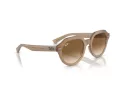 Ray-Ban Gina Sunčane Naočale RB 4399 616651