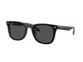 Ray-Ban Sunčane Naočale RB 0RB4420 601/87