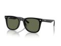 Ray-Ban Sunčane Naočale RB 4420 601/9A