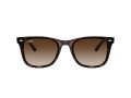 Ray-Ban Sunčane Naočale RB 0RB4420 710/13