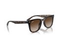 Ray-Ban Sunčane Naočale RB 0RB4420 710/13