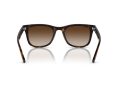 Ray-Ban Sunčane Naočale RB 0RB4420 710/13