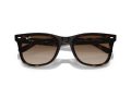 Ray-Ban Sunčane Naočale RB 0RB4420 710/13