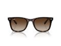 Ray-Ban Sunčane Naočale RB 0RB4420 710/13