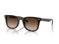 Ray-Ban Sunčane Naočale RB 0RB4420 710/13
