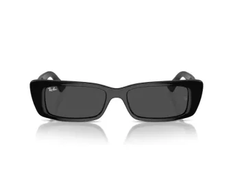 Ray-Ban Teru Sunčane Naočale RB 4425 667787