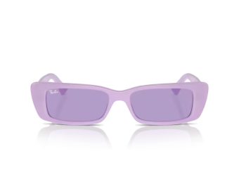 Ray-Ban Teru Sunčane Naočale RB 4425 67581A