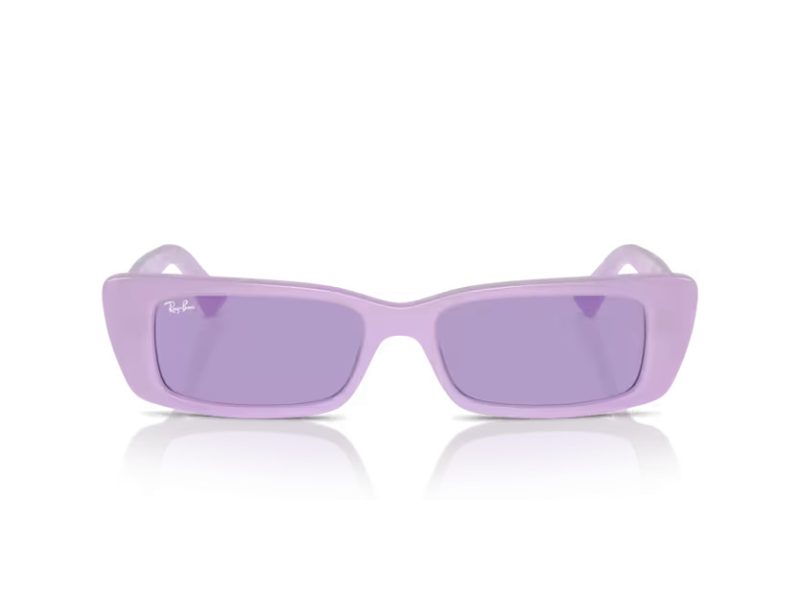 Ray-Ban Teru Sunčane Naočale RB 4425 67581A