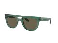 Ray-Ban Phil Sunčane Naočale RB 0RB4426 6681/3