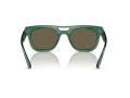 Ray-Ban Phil Sunčane Naočale RB 0RB4426 6681/3