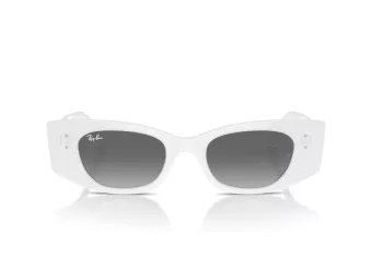 Ray-Ban Kat Sunčane Naočale RB 4427 675911