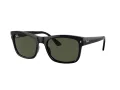 Ray-Ban Sunčane Naočale RB 4428 601/31