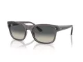 Ray-Ban Sunčane Naočale RB 4428 667571