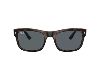 Ray-Ban Sunčane Naočale RB 4428 710/R5