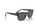 Ray-Ban Sunčane Naočale RB 4428 710/R5