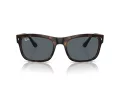 Ray-Ban Sunčane Naočale RB 4428 710/R5