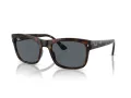 Ray-Ban Sunčane Naočale RB 4428 710/R5
