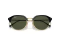 Ray-Ban Sunčane Naočale RB 4429 601/31