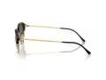 Ray-Ban Sunčane Naočale RB 4429 601/31