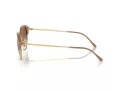 Ray-Ban Sunčane Naočale RB 4429 672151