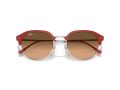 Ray-Ban Sunčane Naočale RB 0RB4429 67223B