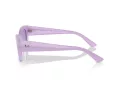 Ray-Ban Zena Sunčane Naočale RB 4430 67581A
