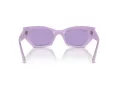 Ray-Ban Zena Sunčane Naočale RB 4430 67581A