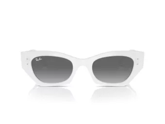 Ray-Ban Zena Sunčane Naočale RB 4430 675911