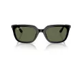 Ray-Ban Sunčane Naočale RB 4439D 901/9A