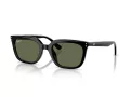 Ray-Ban Sunčane Naočale RB 4439D 901/9A