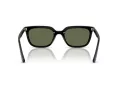 Ray-Ban Sunčane Naočale RB 4439D 901/9A
