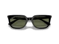 Ray-Ban Sunčane Naočale RB 4439D 901/9A