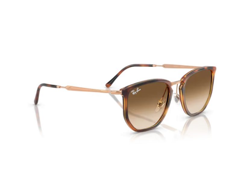 Ray-Ban Sunčane Naočale RB 4451 680451