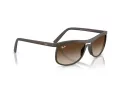Ray-Ban Sunčane Naočale RB 4452 612413