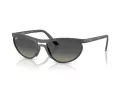 Ray-Ban Sunčane Naočale RB 4453 601711