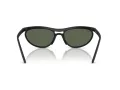 Ray-Ban Sunčane Naočale RB 4453 601S71