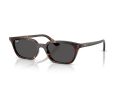 Ray-Ban Zaya Sunčane Naočale RB 4456 135987