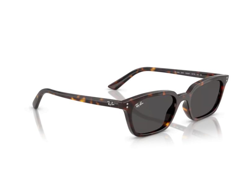 Ray-Ban Zaya Sunčane Naočale RB 4456 135987
