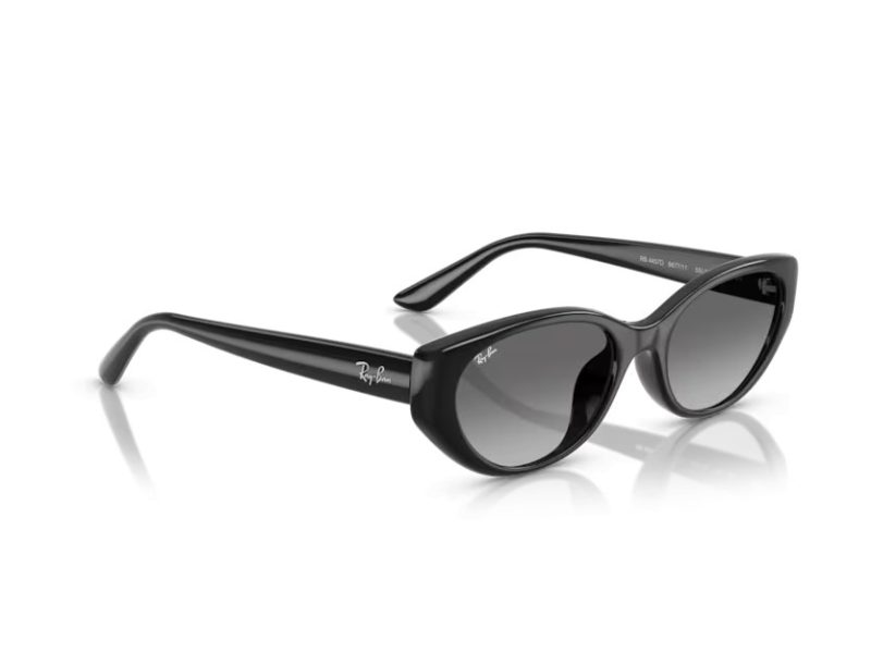Ray-Ban Sunčane Naočale RB 4457D 667711