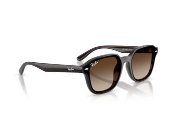 Ray-Ban Sunčane Naočale RB 4458D 714/13