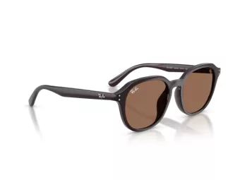 Ray-Ban Sunčane Naočale RB 4459D 623173