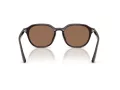Ray-Ban Sunčane Naočale RB 4459D 623173