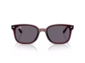 Ray-Ban Sunčane Naočale RB 4461D 659373