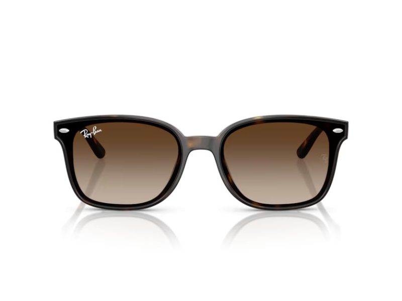 Ray-Ban Sunčane Naočale RB 4461D 710/13