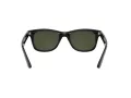 Ray-Ban Sunčane Naočale RB 4640 601/31