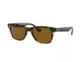 Ray-Ban Sunčane Naočale RB 4640 710/33